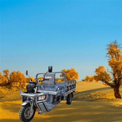 Lätt elektrisk lasttrehjuling